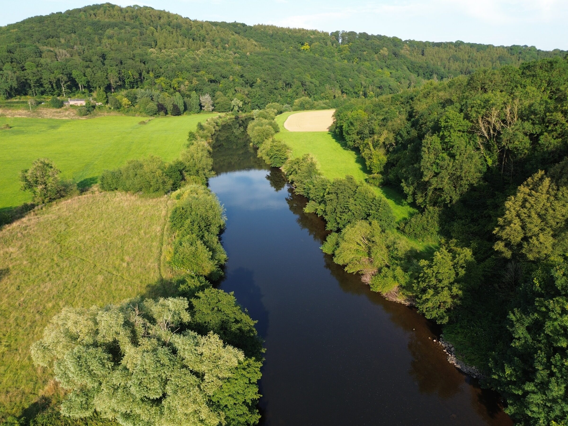 Lower Ballingham Fishery property